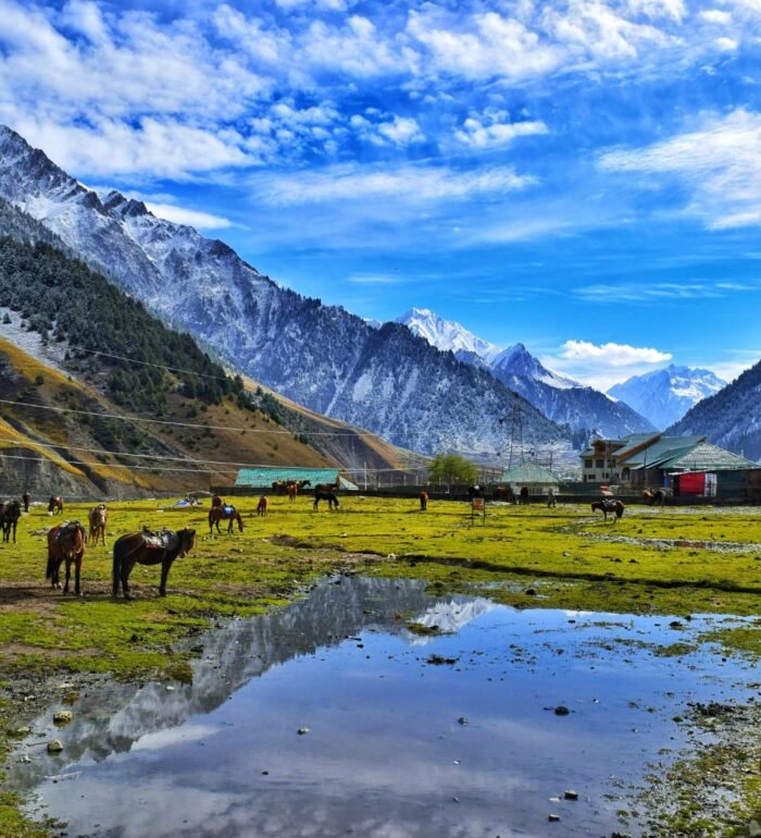 Kashmir Honeymoon - Image 1
