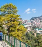 Shimla Manali - Honeymoon