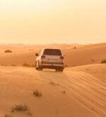 Dubai Abu Dhabi With 3 Theme Park - Image 3